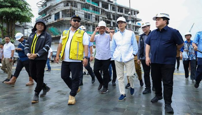 Takjub Dengan Progres IKN, Pengusaha Real Estate UEA Bilang Begini