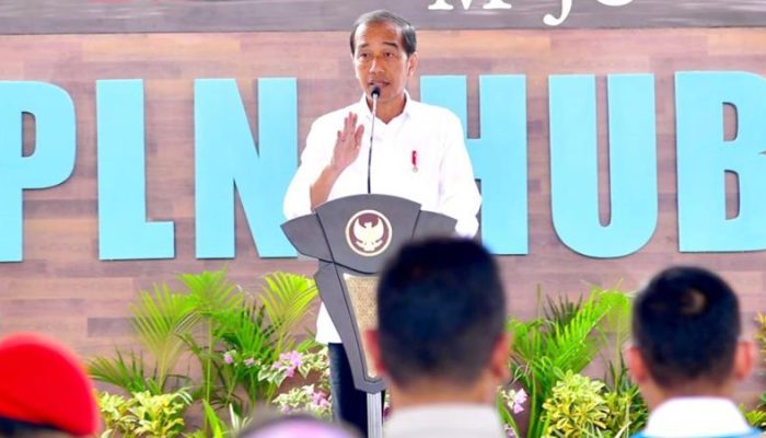Jokowi Kukuh IKN Harus 100 Persen Energi Hijau