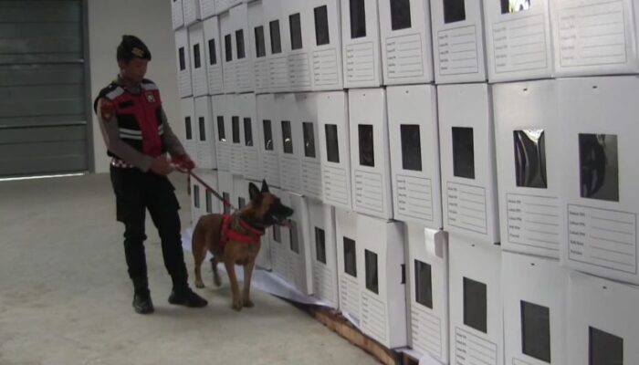 Sebulan Jelang Pemungutan Suara, Kelengkapan Logistik Pilkada Balikpapan Capai 80 Persen