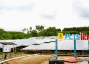 Presiden Resmikan 6 Proyek PLN UIP KLT Bersama 31 Proyek Kelistrikan Nasional
