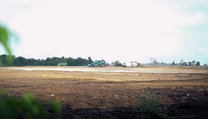 Aturan Pengupasan Lahan di Balikpapan Sudah Ketat, Kelemahannya di Sisi Implementasi