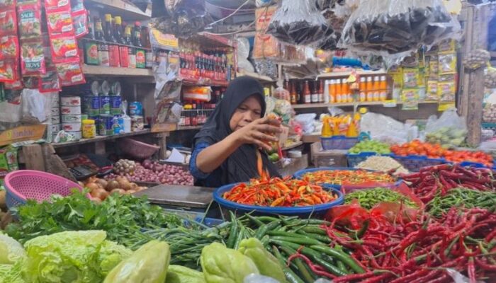 Balikpapan Perlu Formulasi Swasembada Pangan Lokal, Komisi II Dorong Kinerja DP3