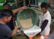 PLN Salurkan Bantuan Alat Pertanian Berbasis Listrik di Kampung Buyung-Buyung