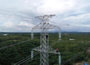 Progres Sudah 90 Persen, PLN Tetap Tancap Gas Rampungkan SUTT Talisayan-Maloy Pasca Iduladha