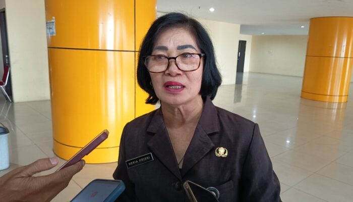 Target Tuntas Dalam 5 Tahun, DP3AKB Usulkan Penambahan Ruang Bermain Edukatif Anak di Perubahan 2025