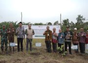 PLN Tanam 1.000 Pohon Aren: Wujud Semangat Kemerdekaan Untuk Udara Bersih dan Kemandirian Ekonomi Warga
