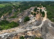 Aktivitas Ilegal Rusak 4.000 Hektar Hutan Lindung di Sekitar Wilayah IKN