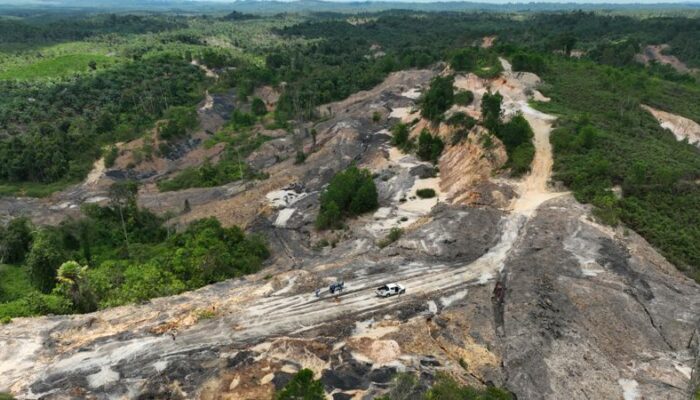 Aktivitas Ilegal Rusak 4.000 Hektar Hutan Lindung di Sekitar Wilayah IKN