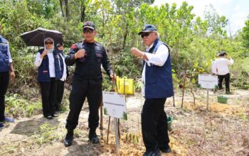 Strategi Otorita Jaga Keseimbangan Langkah Represif dan Restorasi Ekosistem Alam Nusantara