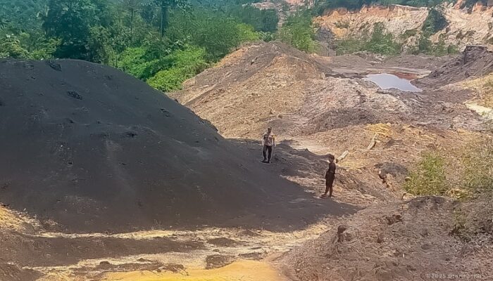 Aktivitas Ilegal di Sekitar IKN Terbongkar: Penambangan di Hutan Lindung Hingga Perambahan Tahura Bukit Soeharto