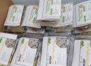 PMT Jadi Cara Puskesmas Atasi Masalah Gizi Ibu Hamil di Gunung Sari Ilir