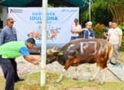 Pelindo Group Balikpapan Tebar Kepedulian Sosial Lingkungan, Momentum Iduladha Sebar Enam Sapi Kurban