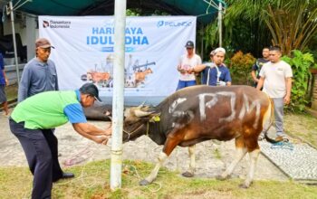 Pelindo Group Balikpapan Tebar Kepedulian Sosial Lingkungan, Momentum Iduladha Sebar Enam Sapi Kurban