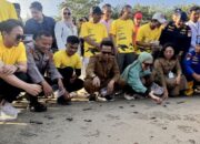 Pelepasliaran 80 Tukik Penyu Lekang, Wali Kota Balikpapan: Konservasi Harus Jadi Gerakan Berkelanjutan