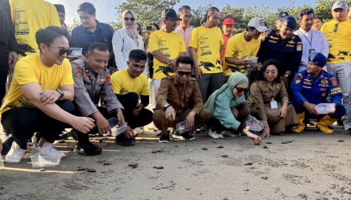 Pelepasliaran 80 Tukik Penyu Lekang, Wali Kota Balikpapan: Konservasi Harus Jadi Gerakan Berkelanjutan