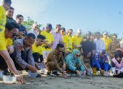 Implementasikan Prinsip ESG, PLN UID Kaltimra Ikut Lepasliarkan Penyu Lekang di Balikpapan