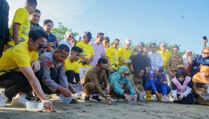 Implementasikan Prinsip ESG, PLN UID Kaltimra Ikut Lepasliarkan Penyu Lekang di Balikpapan