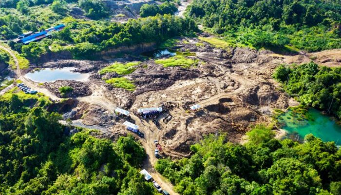 Aktivitas Ilegal Gerus 43 Persen Areal Tahura Bukit Soeharto, Otorita IKN Percepat Rehabilitasi