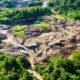 Aktivitas Ilegal Gerus 43 Persen Areal Tahura Bukit Soeharto, Otorita IKN Percepat Rehabilitasi