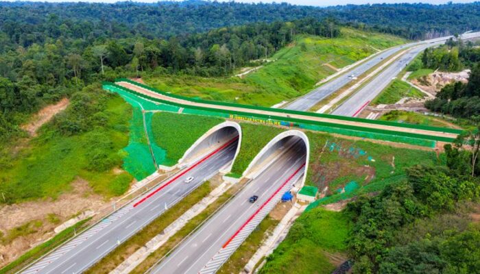Mewujudkan Kota Hutan Nusantara Dengan Konsep Rewilding: Membangun Sambil Menjaga Ekosistem Alam