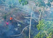Kebakaran hutan dan lahan