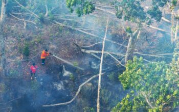 Kebakaran hutan dan lahan