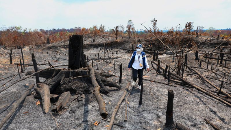 Kebakaran hutan dan lahan